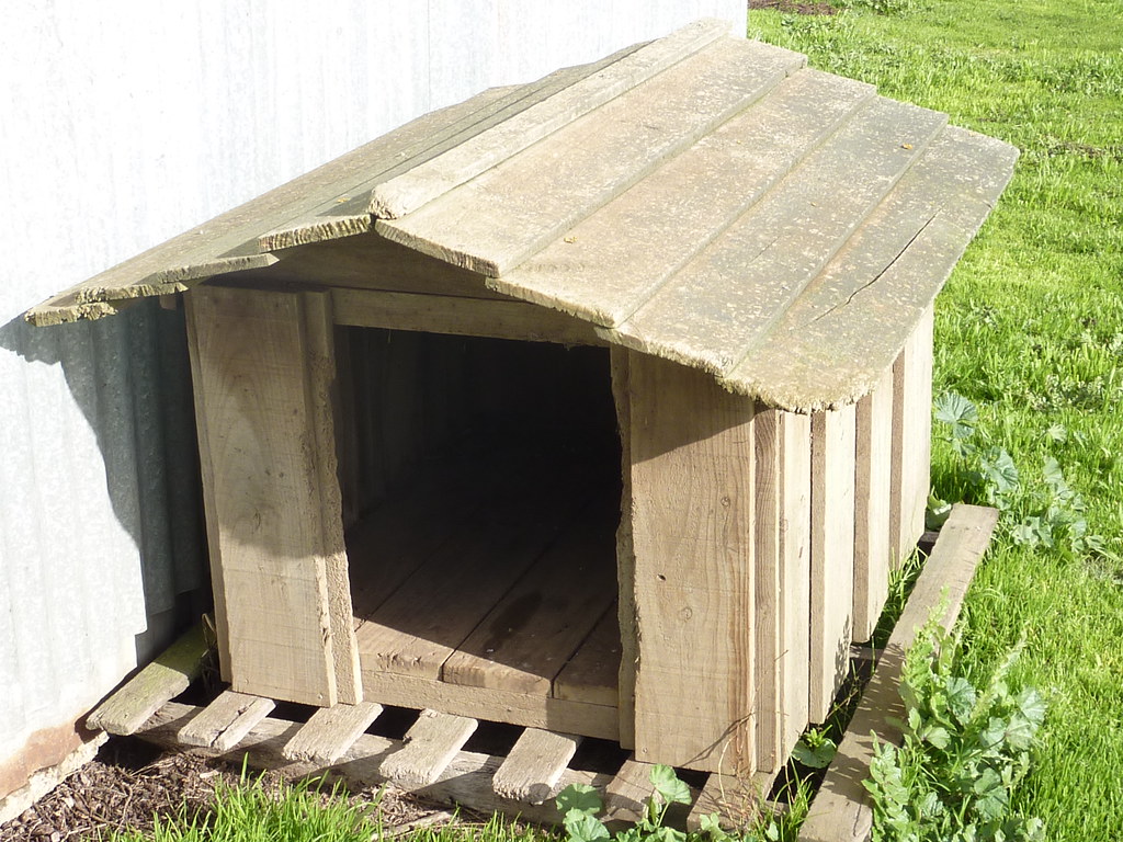 Wooden kennel house on green grass